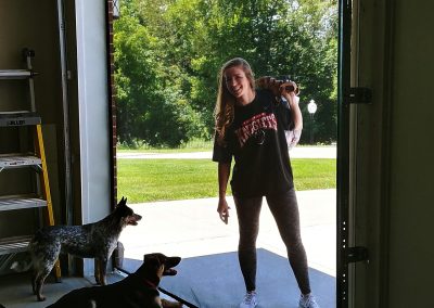 Garage Door Screen