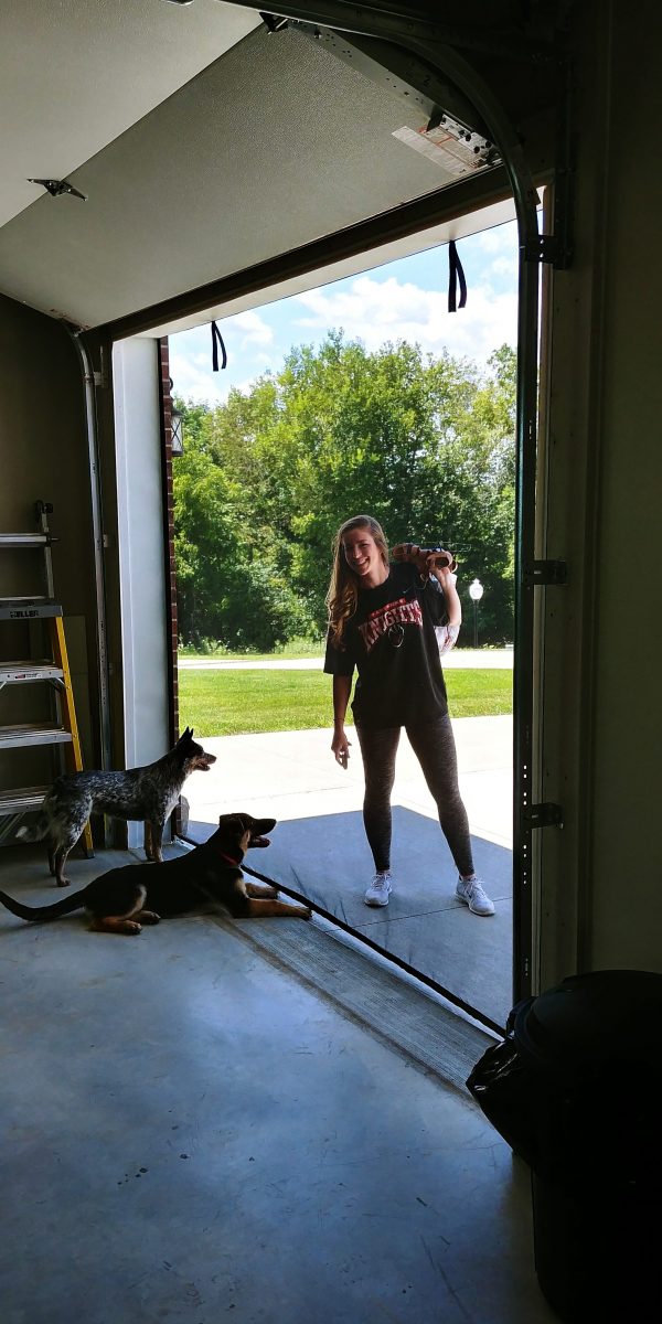 Garage Door Screen